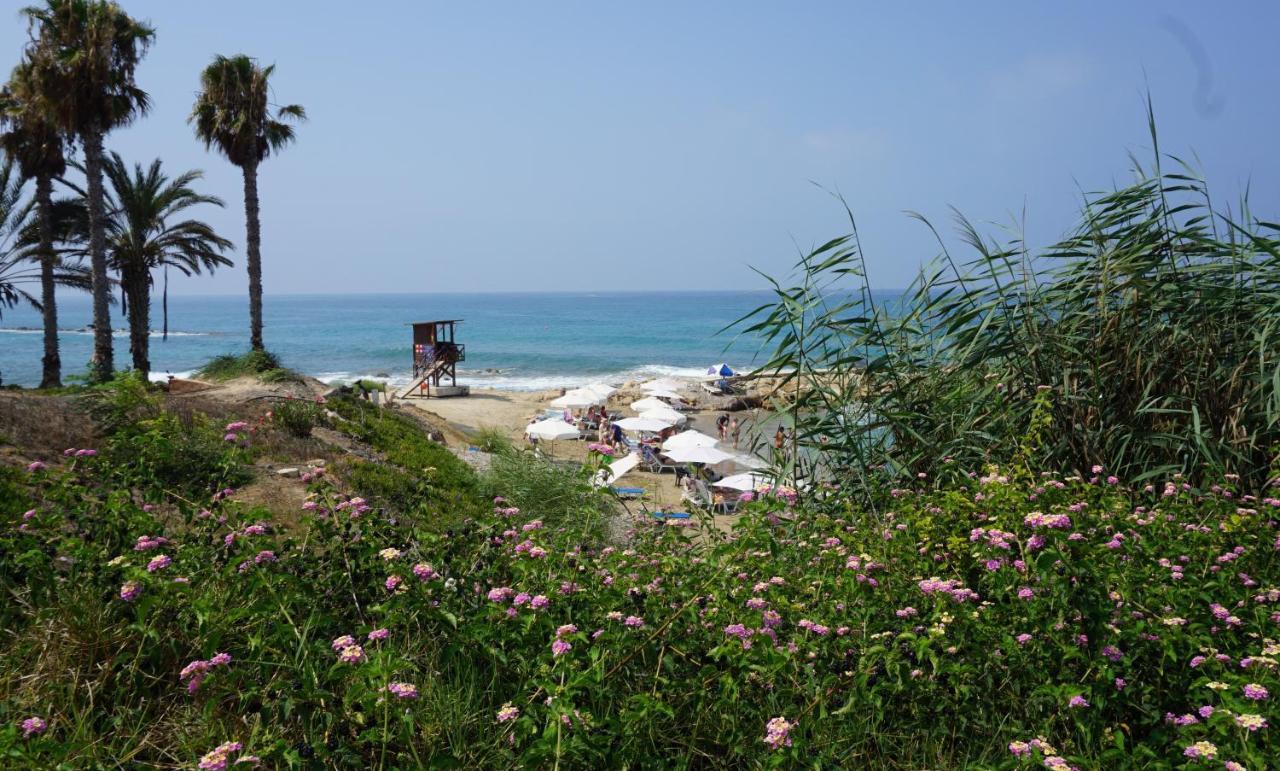 Paphos Gardens, Near Beach المظهر الخارجي الصورة